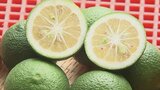 カボスの特産地で露地栽培の選果始まる 収量は少ないが果汁はたっぷり 大分・竹田市 | 大分のニュース|OBS NEWS|大分放送