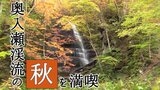 紅葉が見ごろ“奥入瀬渓流”秋真っ盛り「銭湯の壁画はだいたいこれ」そのスポットとは?【朝イチ行ってきました】 | 青森のニュース│ATV NEWS│青森テレビ