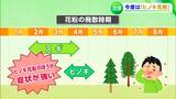 スギ花粉超え!?これからの時期は「ヒノキ花粉」に要注意!専門家が勧めるアレルギー検査とは|TBS NEWS DIG