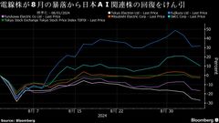 ＡＩフィーバーで沸く日本の電線株、データセンター建設急増に期待| TBS CROSS DIG with Bloomberg