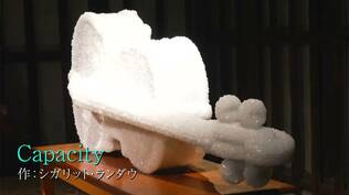 "塩の結晶"をまとったアートなど「瀬戸内国際芸術祭・秋会期」開幕「生きている人はすごいよと伝わってくる」 | 岡山・香川のニュース | 天気 | RSK山陽放送