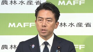 小泉進次郎氏が出馬意向固める 去年は党員票で伸び悩み3位…今年は何かが違う? 麻生氏も「かなり高く買っている」 自民党総裁選| TBS CROSS DIG with Bloomberg