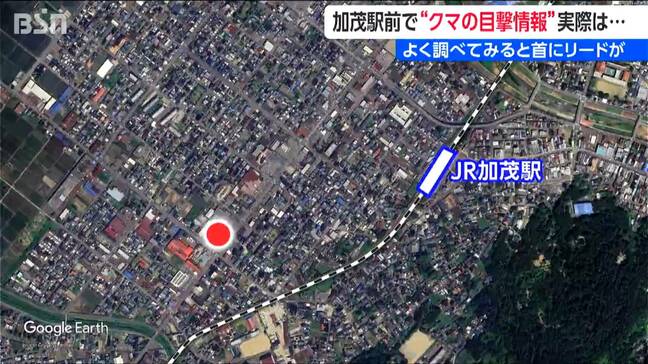 JR加茂駅付近のコンビニで“クマの目撃情報”もリードが! 実は…大型犬と見間違いか 警察が発表を撤回 新潟県加茂市|TBS NEWS DIG