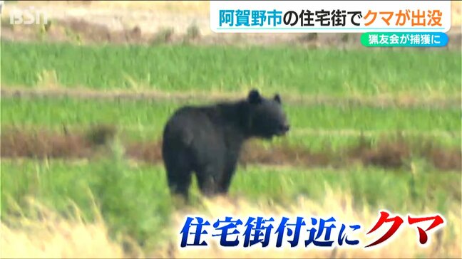 住宅街にクマ「川沿いを歩いているのを見た 1m～1m50cmくらい」猟友会が麻酔銃でクマを捕獲　新潟・阿賀野市|TBS NEWS DIG
