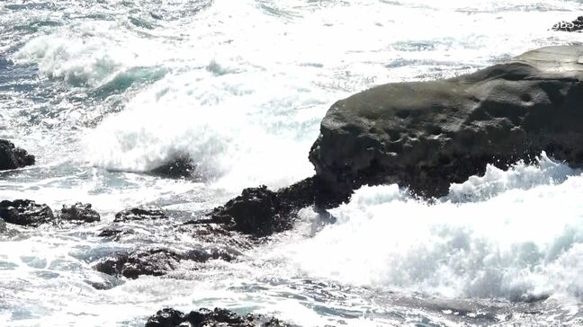 【台風7号】16日に静岡県に最接近か漁港では船の固定「どれだけの台風来るか、予測つかない」＝静岡・下田市|TBS NEWS DIG