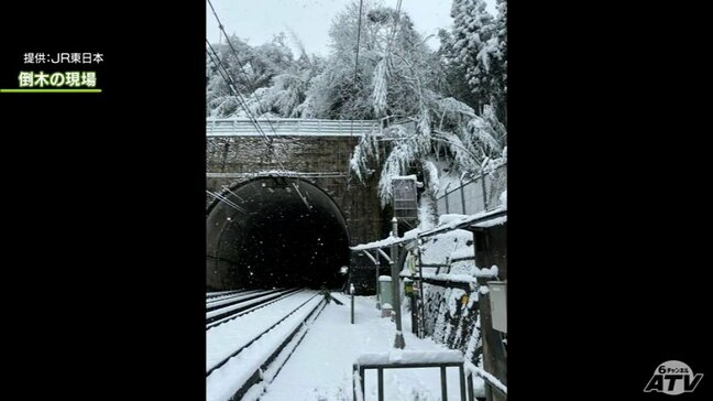 【速報・追記】東北新幹線・山形新幹線の運転見合わせ　午前9時半前に運転再開　倒木が原因で停電|TBS NEWS DIG