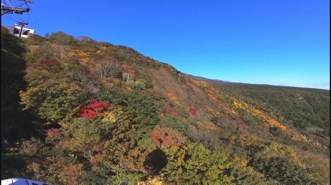 「こんな光景、生まれて初めて」錦秋に染まる安達太良山　絶好の紅葉狩り日和　福島|TBS NEWS DIG