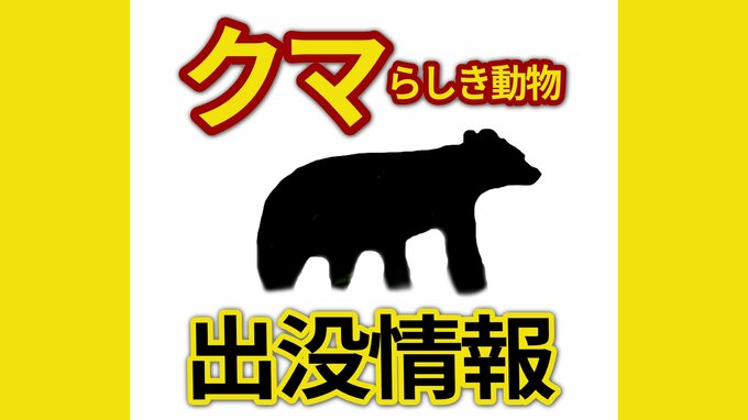 「１ｍくらいの…」「庭にクマがいる」広島市佐伯区でクマらしき動物の目撃情報が相次ぐ　けが人や物的被害はなし|TBS NEWS DIG