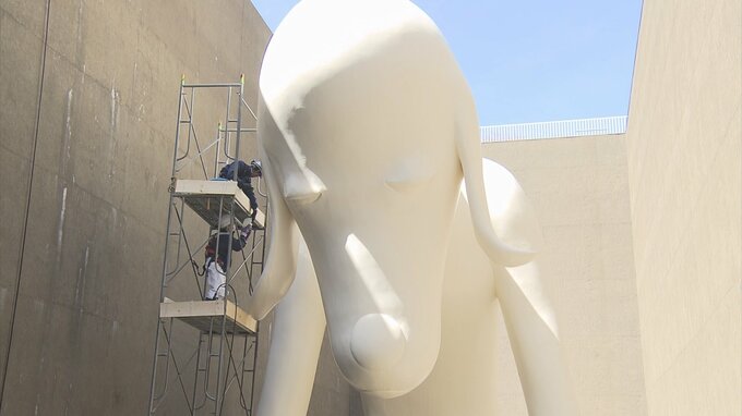 『あおもり犬』1年ぶりのシャワーでキレイさっぱりに　本来の“白い毛並み”を取り戻す　|　青森のニュース│ATV NEWS│青森テレビ