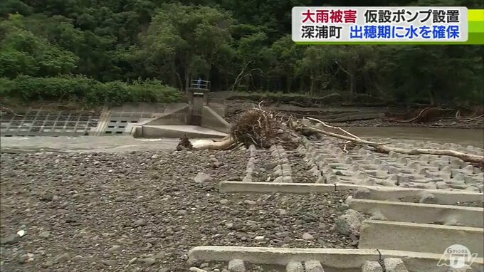大雨被害で仮設ポンプ設置　出穂期の田で水確保「今年こそは豊作を」|TBS NEWS DIG