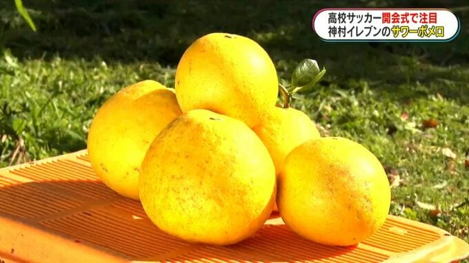 神村学園が運んだ“サワーポメロ旋風” 　国立の舞台に立った特産品　初優勝で全国区へ！|TBS NEWS DIG