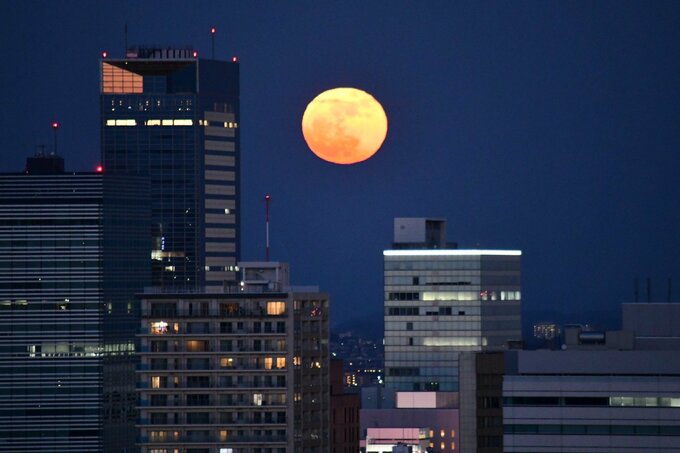 17日夜は一年で最も大きな満月「スーパームーン」　晴れて見られる所は？　tbc気象台|TBS NEWS DIG