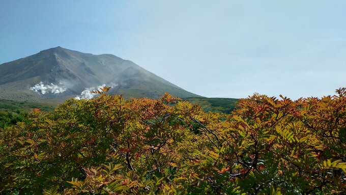 大雪山系旭岳で紅葉シーズンスタート 木々の葉が染まり始め、チングルマが鮮やかに色づく 麓では最低気温1桁台の寒さ 北海道東川町|TBS NEWS DIG