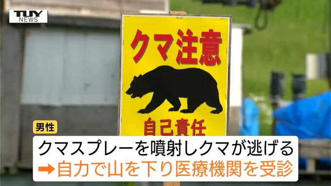 クマスプレーで撃退、しかし左腕にケガ　クマがタケノコ採り中の男性を襲う　今シーズン4件目の人的被害発生　止まらいクマの出没...私たちが注意すべきことは（山形）　|　山形のニュース│TUYテレビユー山形
