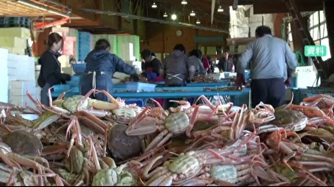 「カニがいるのかもわからない」11月6日に漁解禁が決まるも、漁師から不安の声|TBS NEWS DIG