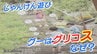 じゃんけんのグー「グリコス」と呼ぶ地域がある なぜ？調べてみたら街の歴史が見えてきた 宮城　|　宮城のニュース│tbc NEWS│tbc東北放送