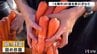 詰め放題は真剣勝負！ JA産直市｢太陽市(おひさまいち)｣　誕生祭　|　愛媛のニュース - Nスタえひめ｜あいテレビは6チャンネル