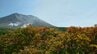 大雪山系旭岳で紅葉シーズンスタート 木々の葉が染まり始め、チングルマが鮮やかに色づく 麓では最低気温1桁台の寒さ 北海道東川町　|　北海道のニュース｜HBC北海道放送