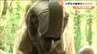 ゾウのフン70kg片づけてからの餌やり「大変だぁ！」小学生が動物園の飼育員体験　仙台・八木山動物公園　|　宮城のニュース│tbc NEWS│tbc東北放送