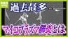 【マイコプラズマ肺炎って？】８年ぶり感染拡大で『過去最多』...症状消えても感染力あり「歩く肺炎」とも　実は「うがい」はあまり予防効果なし！？|TBS NEWS DIG