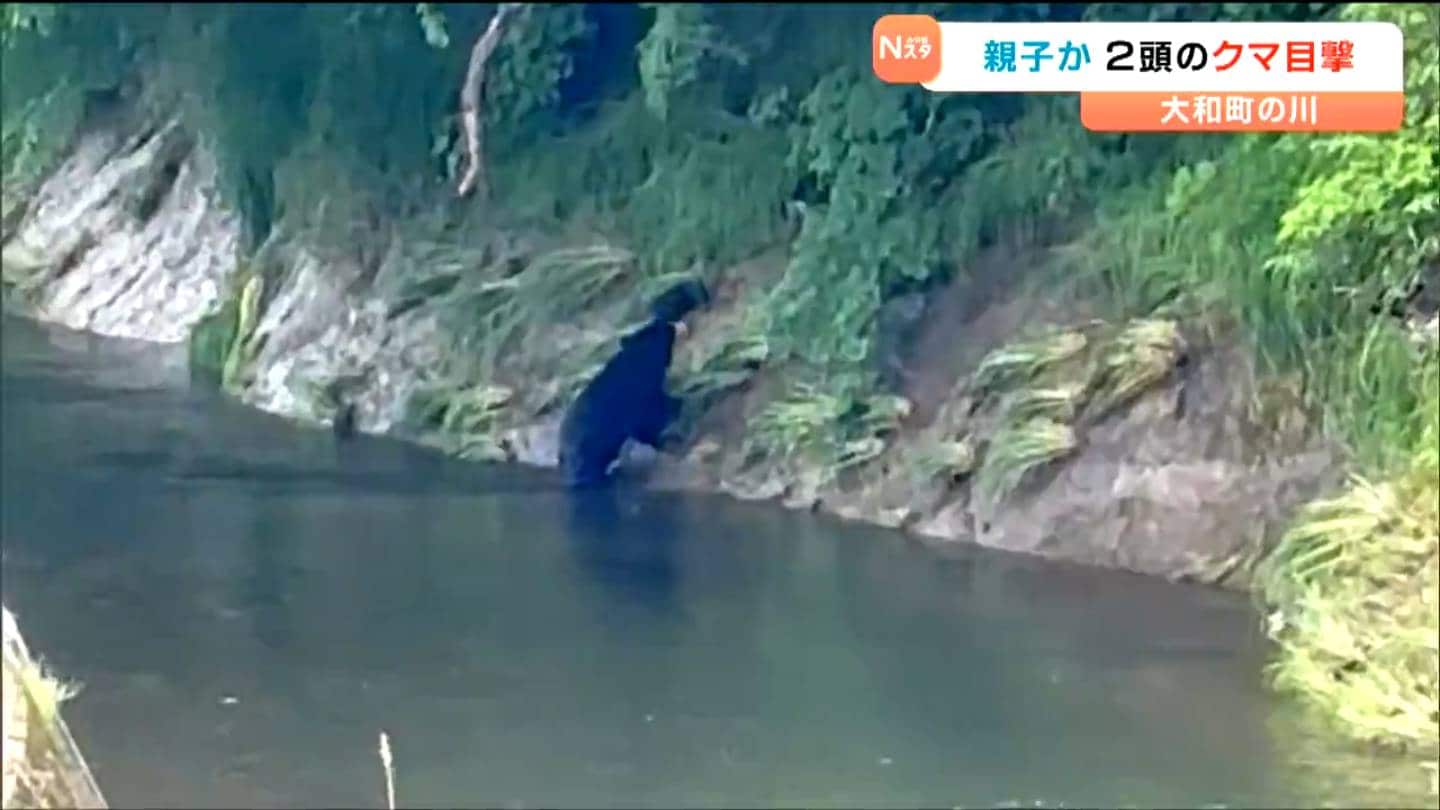 人が横に動いたと思って見たら『クマ』だった」親子なのか 川の斜面を