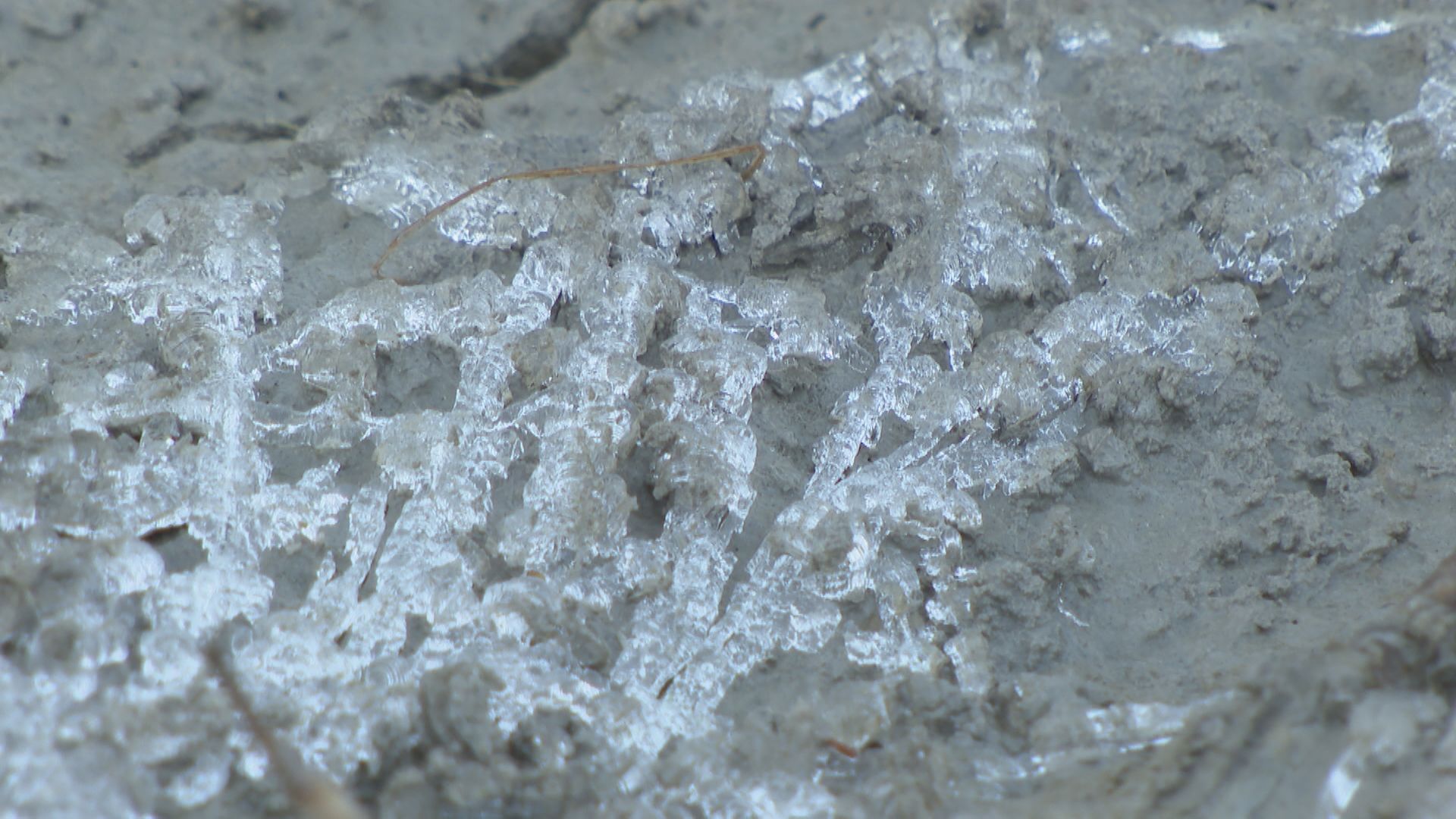 「寒くて震えた」 名古屋で平年より2日早く“初氷”を観測　東海地方各地で今季一番の冷え込み