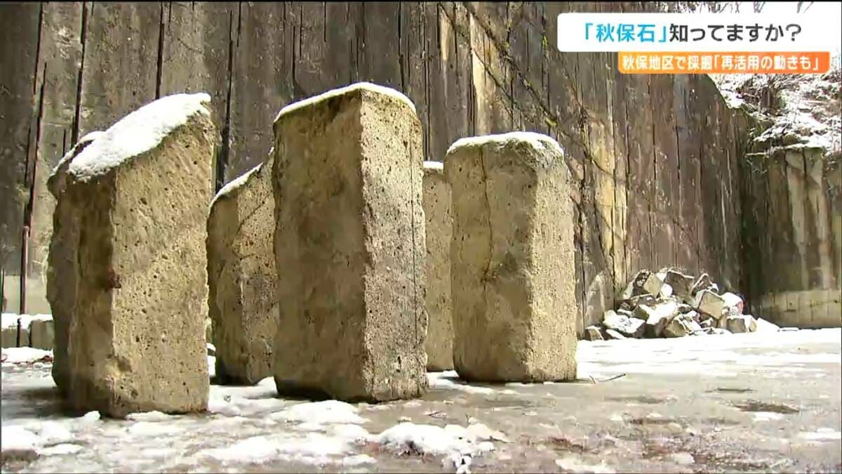 秋保石　敷石④【引き渡しのみ】 石の中にいろんな石ころが混ざっている唯一無二の天然石」市役所新庁舎