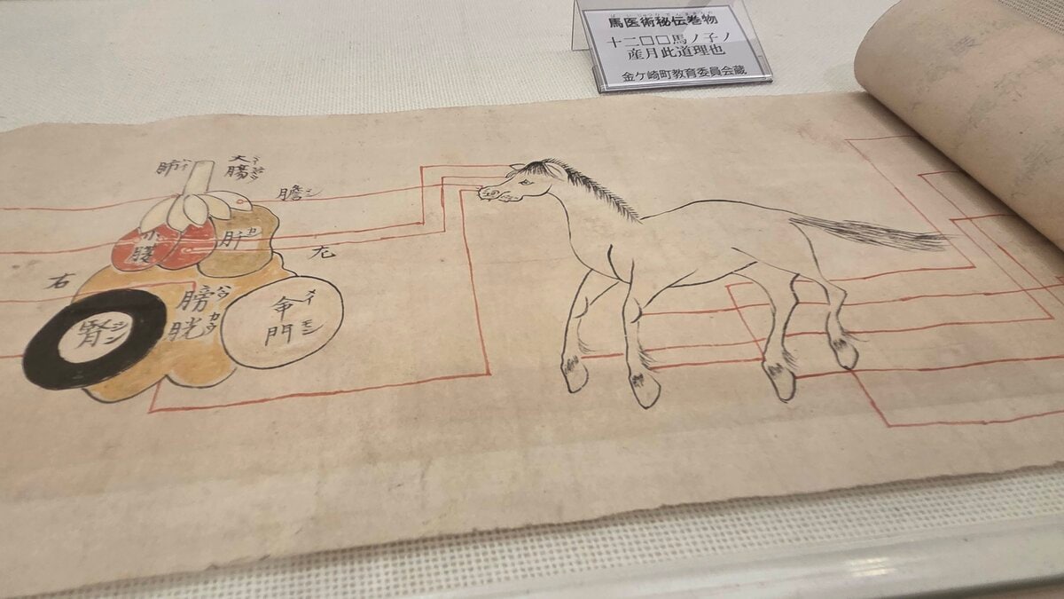 時代 馬学 巻物 まくり 4枚 和本 墨書 馬医書 馬療図 古文書 資料 戦前 img_f7bdd4ceed6ec0f0d628b015c1
