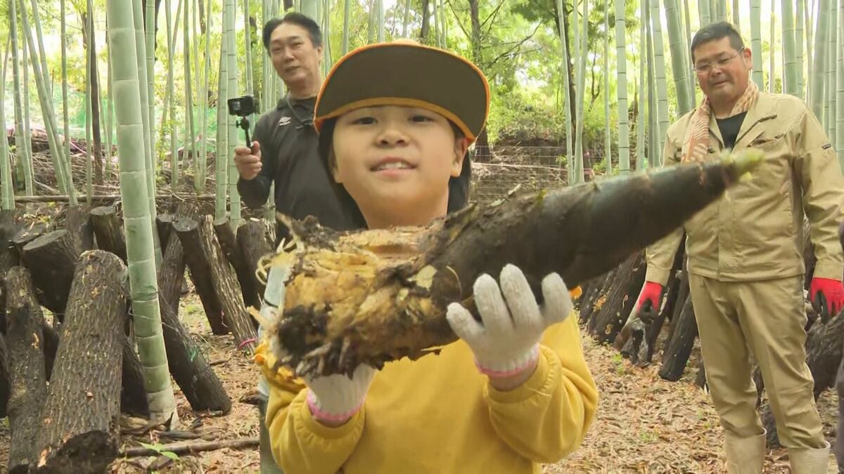 大分県有数の産地で小学生タケノコ掘り体験　豊後高田市