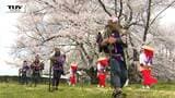 中山町で満開の桜の下　伝統の達磨寺田植え踊り披露|TBS NEWS DIG
