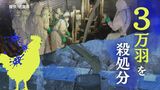 ニワトリ約３万羽の“殺処分”と“消毒”で対応、佐賀県で鳥インフルエンザ　|　福岡のニュース｜RKB NEWS｜RKB毎日放送