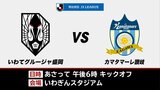 サッカーJ3いわてグルージャ盛岡、9月1日カマタマーレ讃岐と対戦 |TBS NEWS DIG