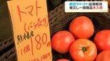 「配送が開店に間に合うようになった」九州自動車道再開でスーパー、物流は|TBS NEWS DIG
