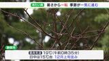 「寒い 厚着しないと」静岡県内一気に12月上旬並みの寒さ 冷たい雨で各地冷え込む 7日も温かいおでんがおいしい|TBS NEWS DIG