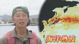 『海洋熱波』発生「海面水温6度上がった」三陸沖は世界で最も水温が上昇した場所に 海の異変で漁師困惑|TBS NEWS DIG