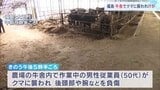 「電気をつけたらクマがいて襲われた」農場で作業中の50代男性が襲われけが…地元猟友会「私たちに気が付いて向かって来たので発砲」で駆除 福島・大玉村|TBS NEWS DIG