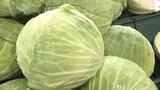 「あれ?こんなに」価格は2倍近くに 記録的暑さで野菜高値続く 福島 | 福島のニュース│TUF