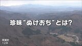 珍味『ぬけおち』を探してブナの原生林へ… 「チーズのような…」その正体は? | 新潟のニュース・天気|BSN NEWS|BSN新潟放送