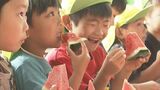 「♪すいかのめ～さん～ち～」４年ぶり園児も祝福…大栄西瓜出発式　鳥取・北栄町　|　BSSニュース | BSS山陰放送