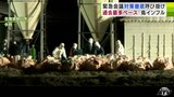 全国で過去最多ペースで発生の「鳥インフルエンザ」青森県が養鶏業者や関係機関との緊急会議を開催　対策の徹底呼びかけ　|　青森のニュース│ATV NEWS│青森テレビ