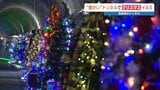 冬なのに暖かい…“全国でも珍しい”トンネルイルミ 暗闇に浮かぶツリーの幻想的な光|TBS NEWS DIG