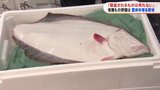 「大丈夫と思った。でも、敬遠されるものは売れない」豊洲市場関係者の葛藤【迫る処理水海洋放出④】 | 福島のニュース│TUF