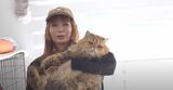 【中川翔子】　「猫111頭を助けて」　緊急動画で呼びかけ　多頭飼育崩壊現場からの猫たちを救うため「里親さん・一時預かりさん・レスキュー・ボランティア・物資支援」を募集|TBS NEWS DIG