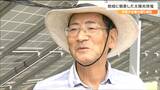 地域とは無関係な企業のメガソーラーでなく消費者自身が地産地消する太陽光発電とは 専門家「エネルギーは地域の人たちが自分事で進めていくことが重要」|TBS NEWS DIG