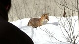 「人も動物も環境もつながっているという理念学ぶ」盛岡市動物公園ＺＯＯＭＯで一般企業が社員研修　盛岡市|TBS NEWS DIG