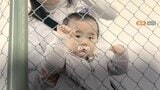 【高校野球】生まれつき左手の指がない ハンデ乗り越え大活躍 県岐商・横山温大選手 わが子の夏を見つめた両親は「幸せな時間でした」|TBS NEWS DIG