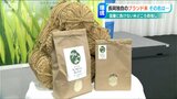 気候変動に負けないコメの産地へ 新ブランド米『小さな生き物たちと育むお米』立ち上げ 新潟・長岡市 | 新潟のニュース・天気|BSN NEWS|BSN新潟放送