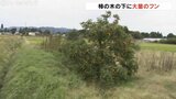 「朝晩は外に出られない」富山市でクマ痕跡相次ぎ警戒を呼びかけ|TBS NEWS DIG