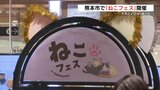 2月22日の『猫の日』前に 熊本市で「ねこフェス」開催 保護猫の譲渡会も | 熊本のニュース|RKK NEWS|RKK熊本放送