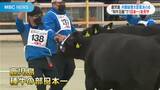 “和牛五輪”閉幕 鹿児島は種牛部門で内閣総理大臣賞「日本一」 | 鹿児島のニュース|MBC NEWS|南日本放送